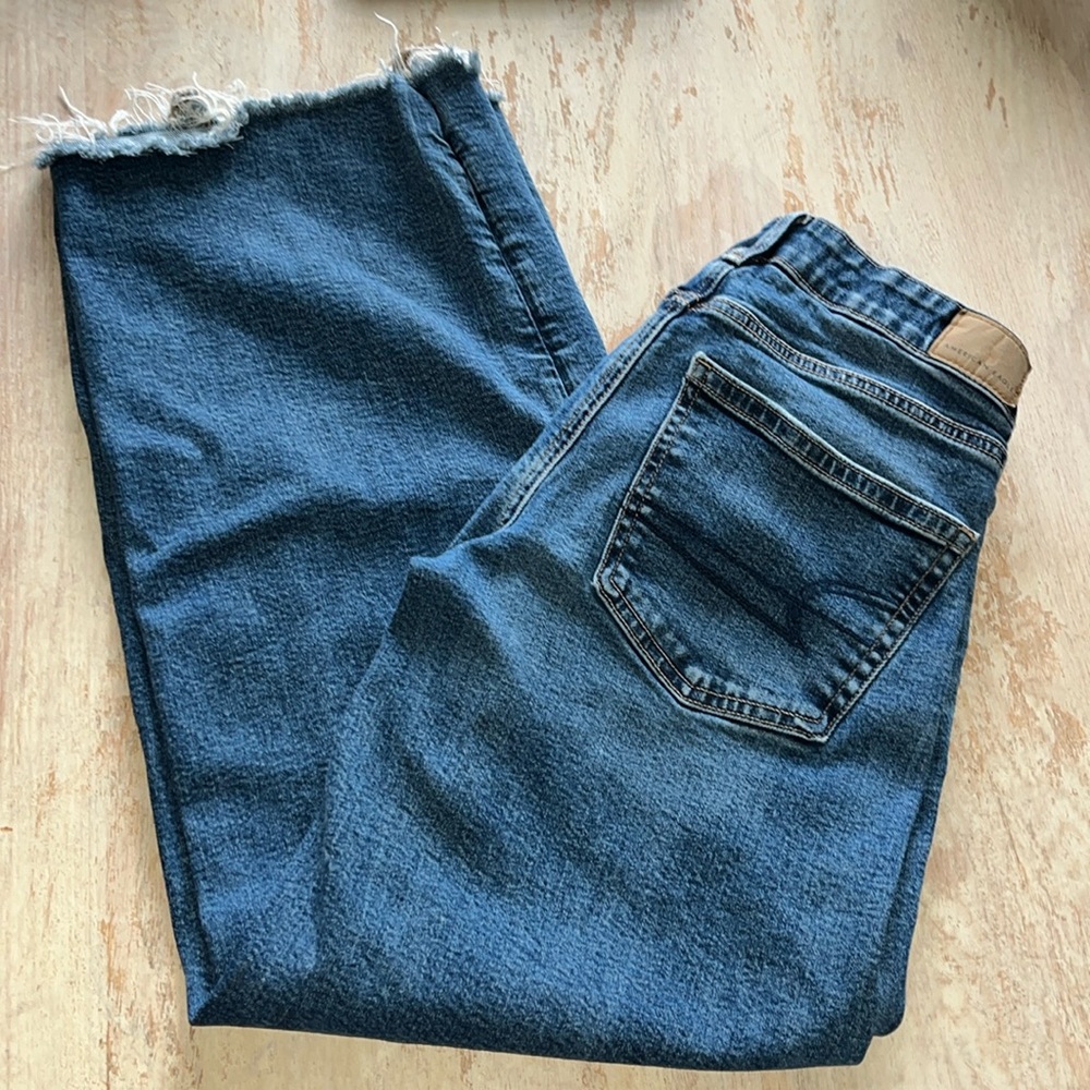 AE Lowrise Baggy Wide Leg